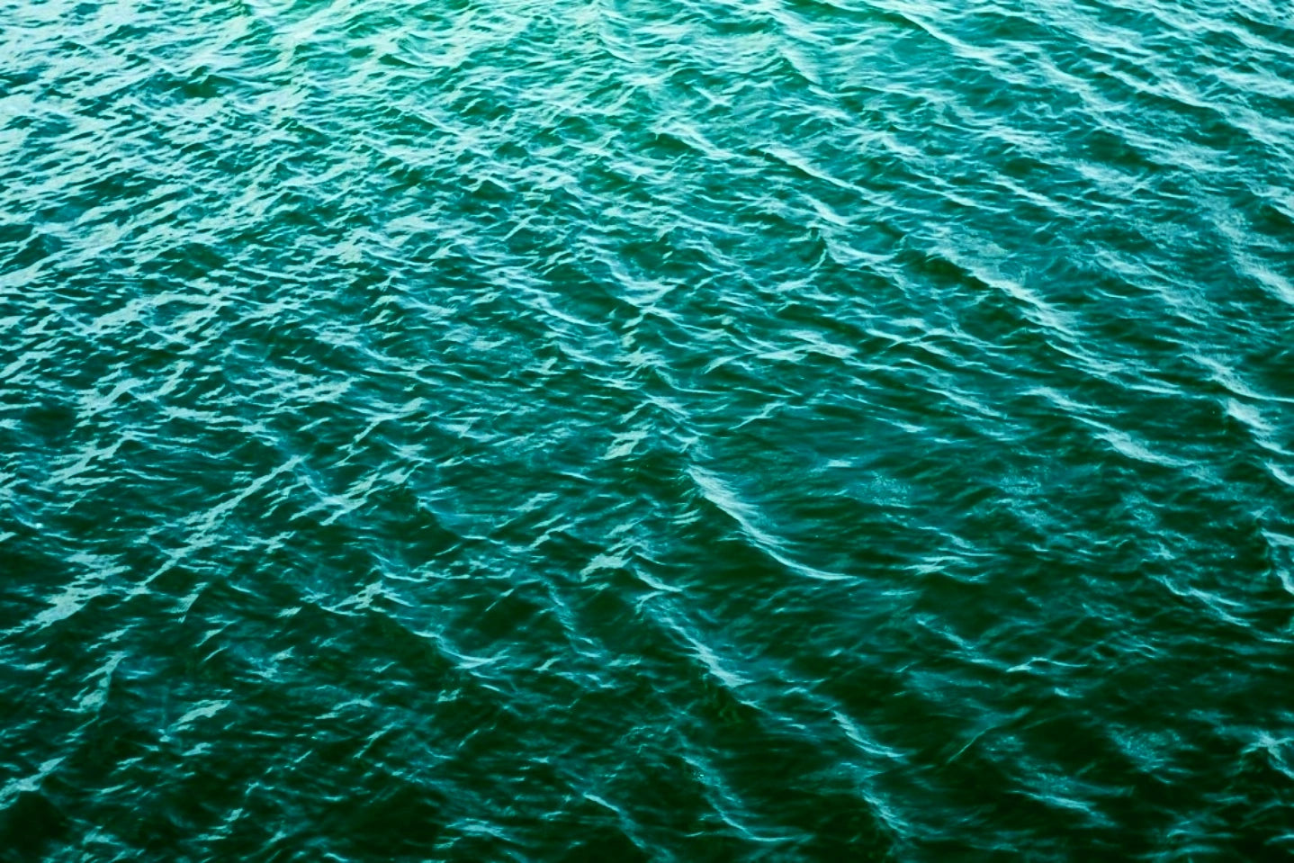 Magical Moons, teal flowers